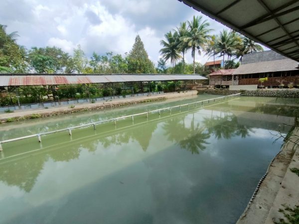Kolam dan bangunan "Pondok Bambu Galuh" - Image 2