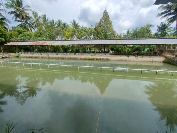 Kolam dan bangunan "Pondok Bambu Galuh" - Image 5